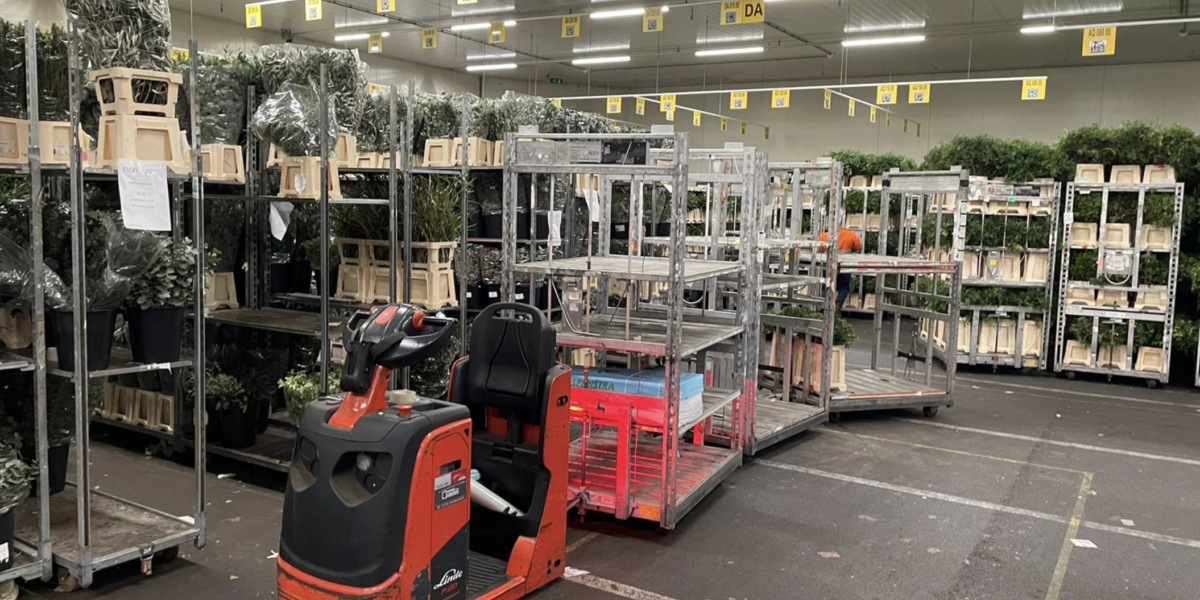 GeplakteAfbeelding-2-e1712493849774